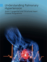 Understanding Pulmonary Hypertension 